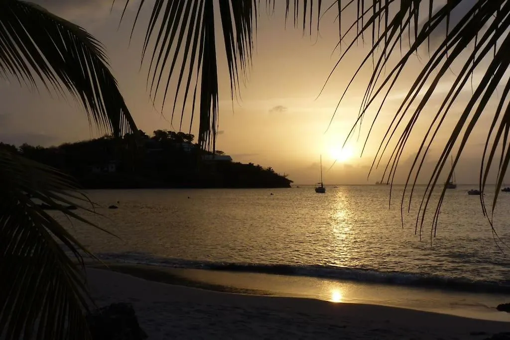 T2 Tt Confort/Wifi 200M Plages Anses Mitan 3 Ilets Les Trois-Ilets Apartment