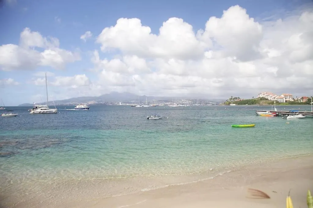 T2 Tt Confort/Wifi 200M Plages Anses Mitan 3 Ilets Les Trois-Ilets Apartment